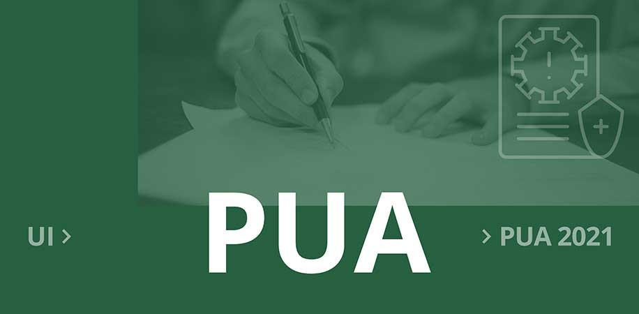 Initial application for Pandemic Unemployment Assistance (PUA)