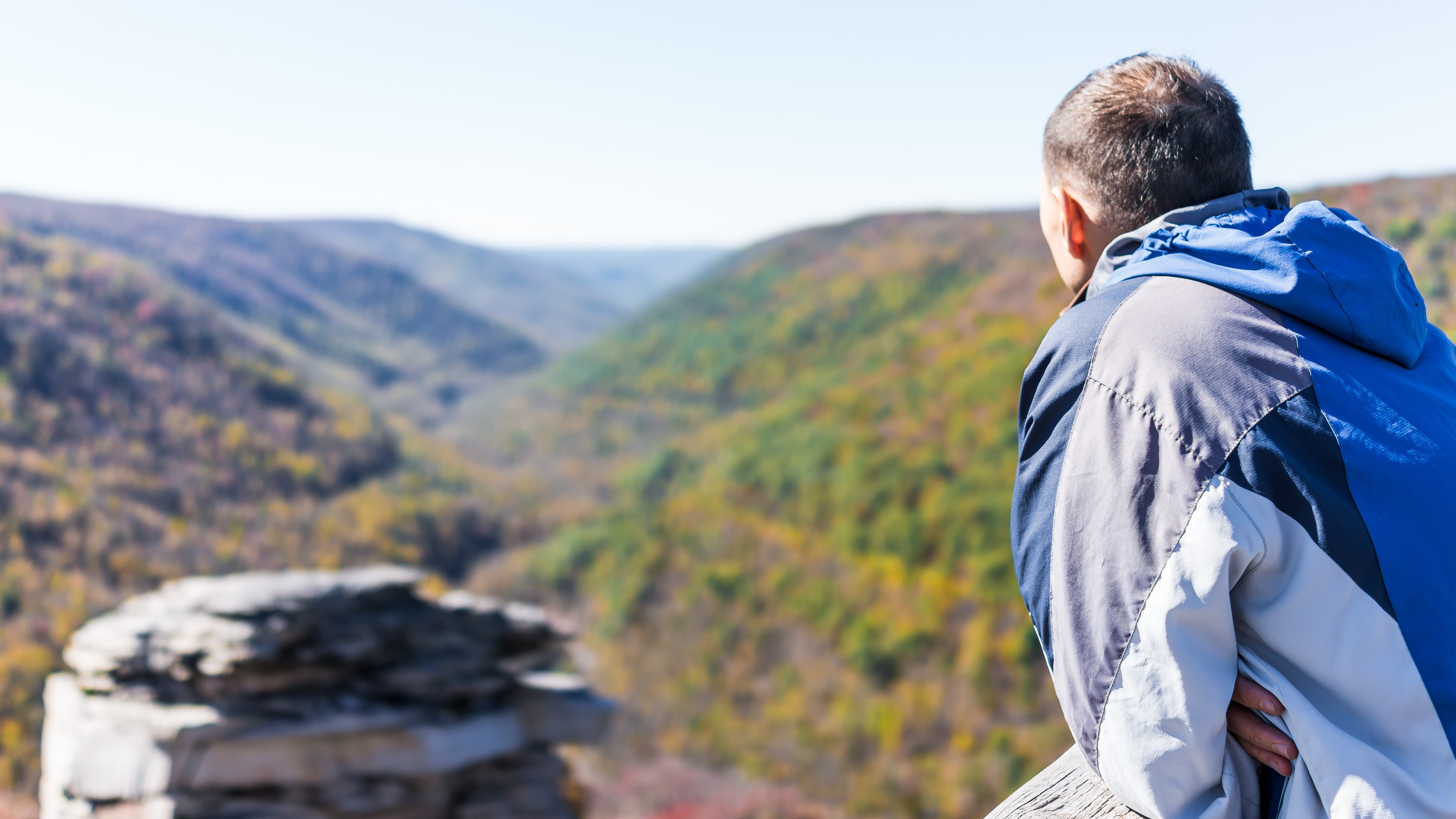 Looking out over forest